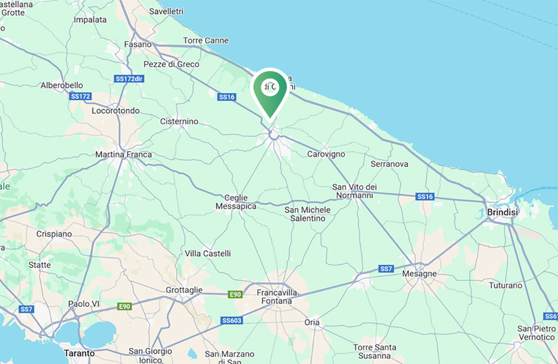 Google Maps